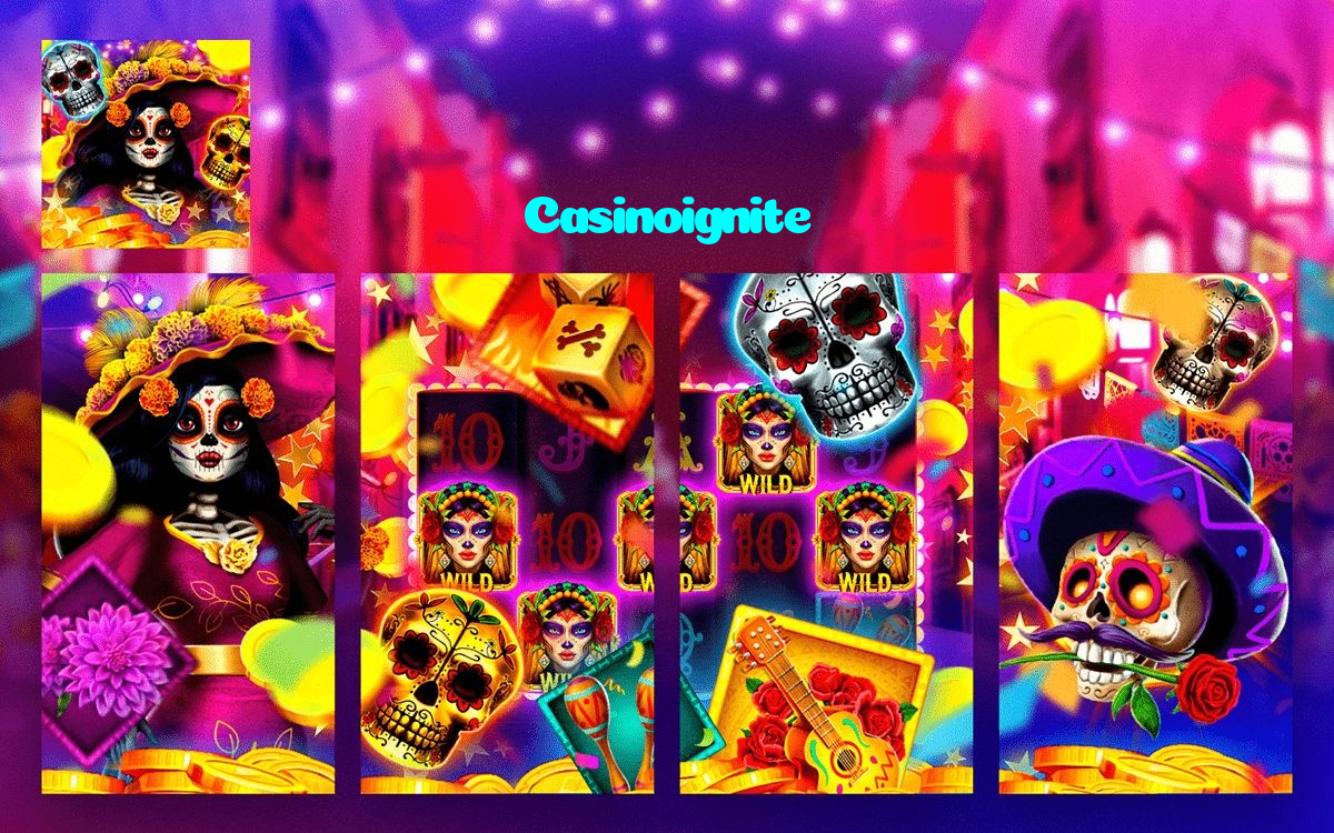 available types of Casinoignite bet including pre-match live express and system bets
