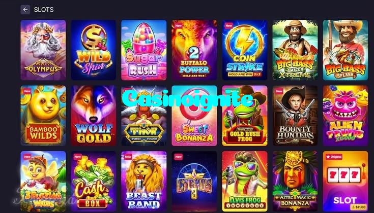 available types of Casinoignite bet including pre-match live express and system bets